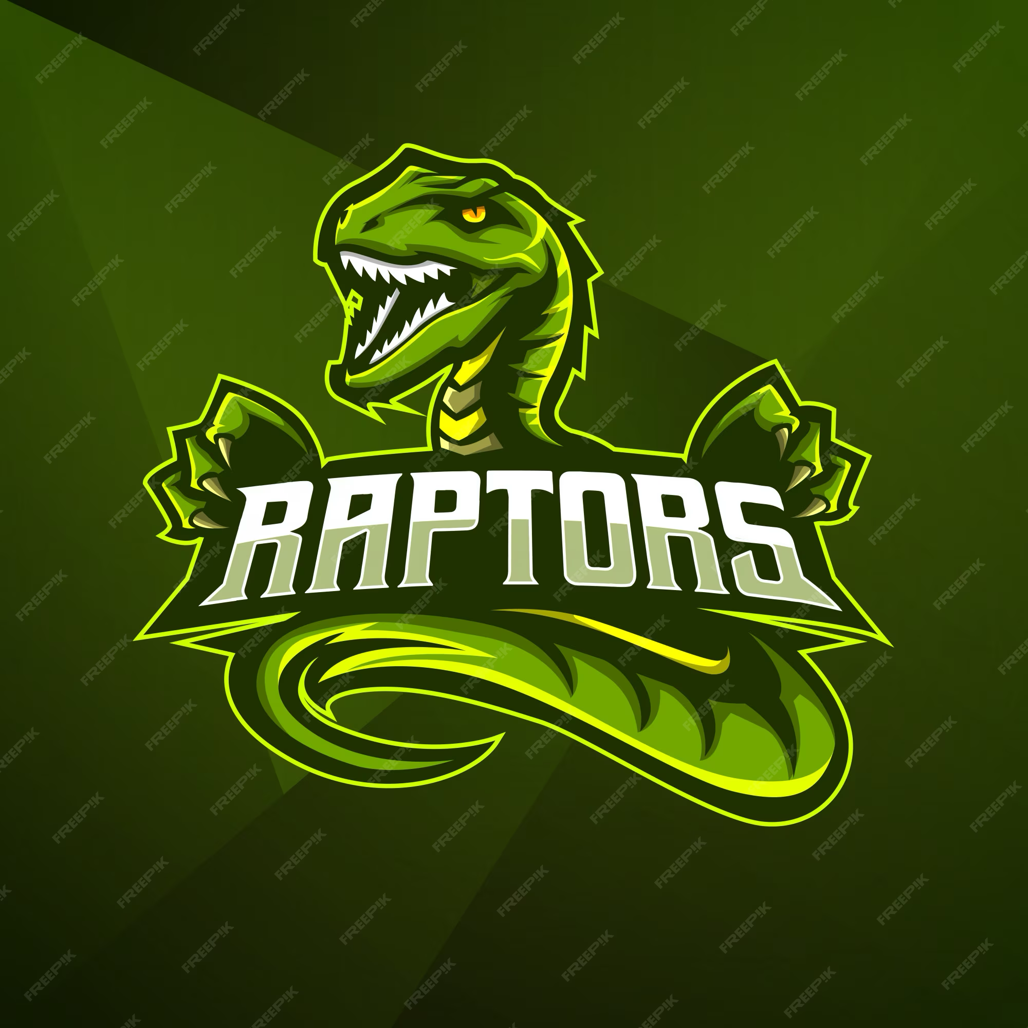 SOLİD RAPTOR